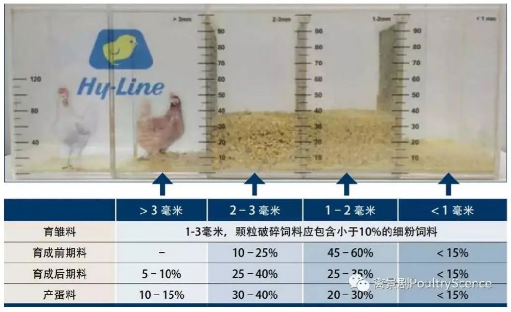 趣投网(中国)官网平台入口